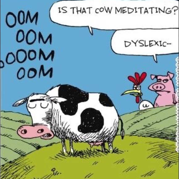 Meet your Posher, Aden - Picture 3 of 8